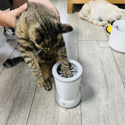 Gruum | MudMop Cup